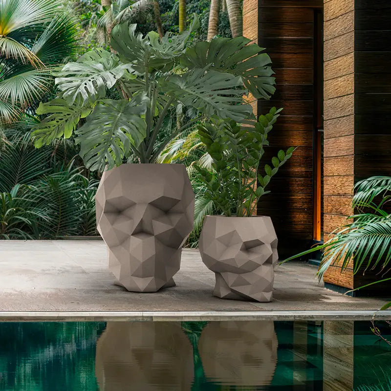 Skull Collection