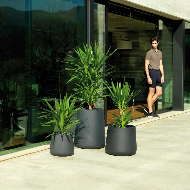 ULM PLanters