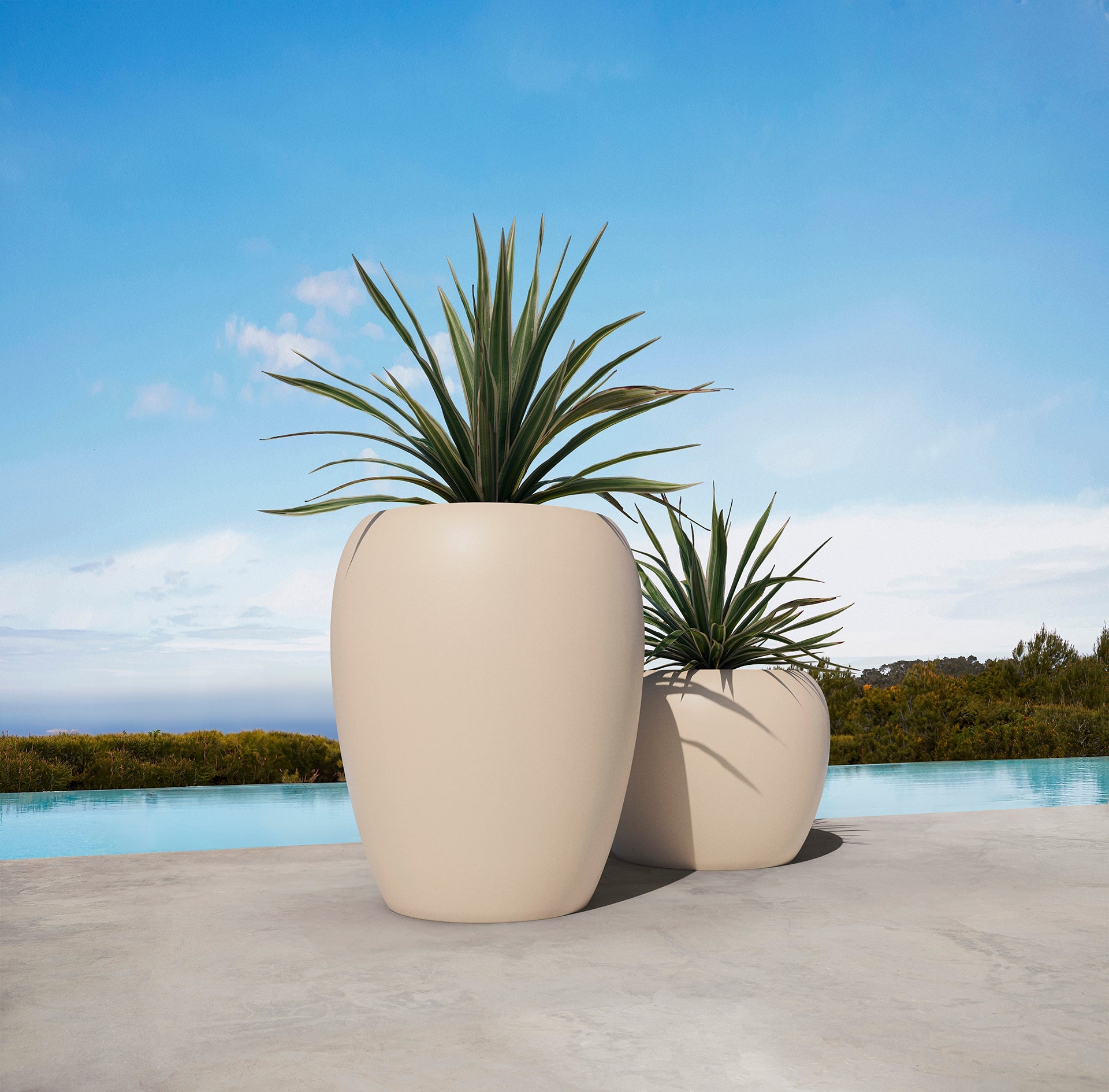 Blow Planters